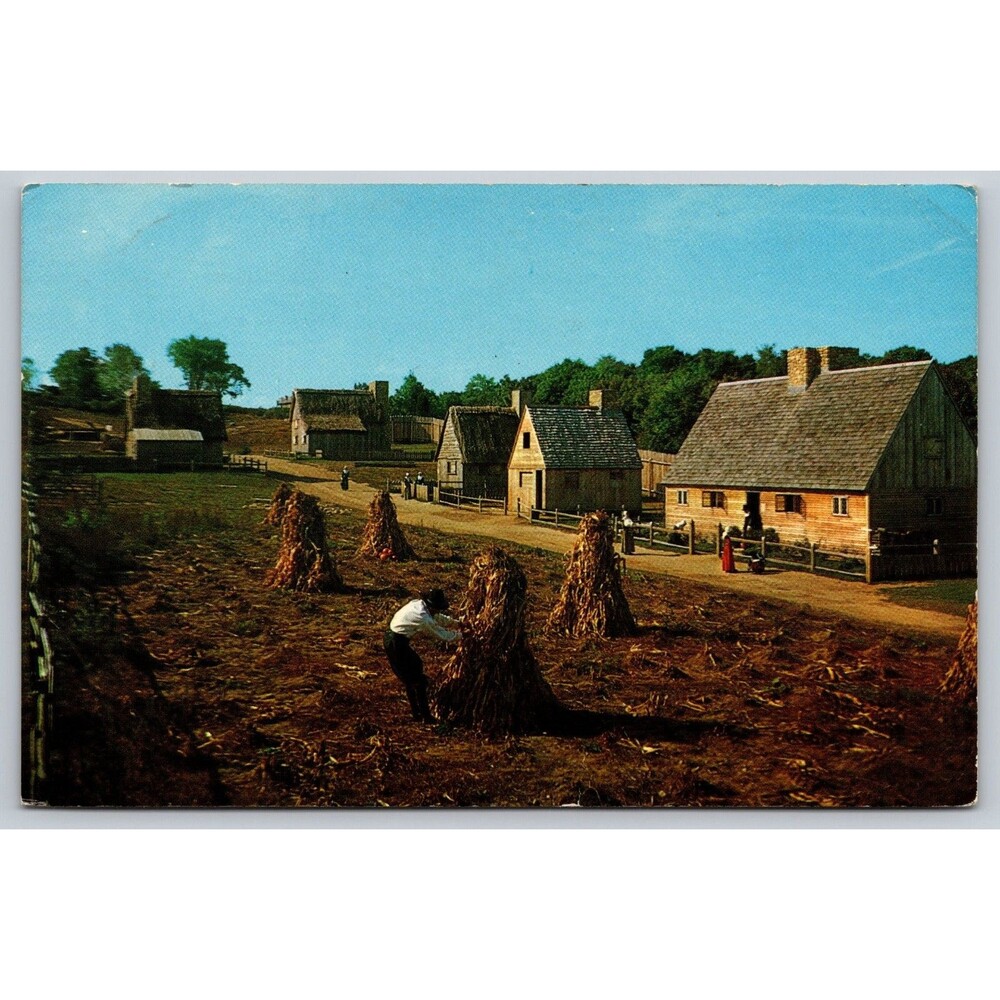 Postcard Massachusetts Plymouth Plimoth Plantation Autumn Pastoral Pilgrim Farm